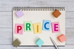 蓄電池の購入・設置費用を抑えたいなら補助金がおすすめ