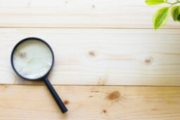 家庭用蓄電池の導入にかかる主な初期費用と内訳を解説